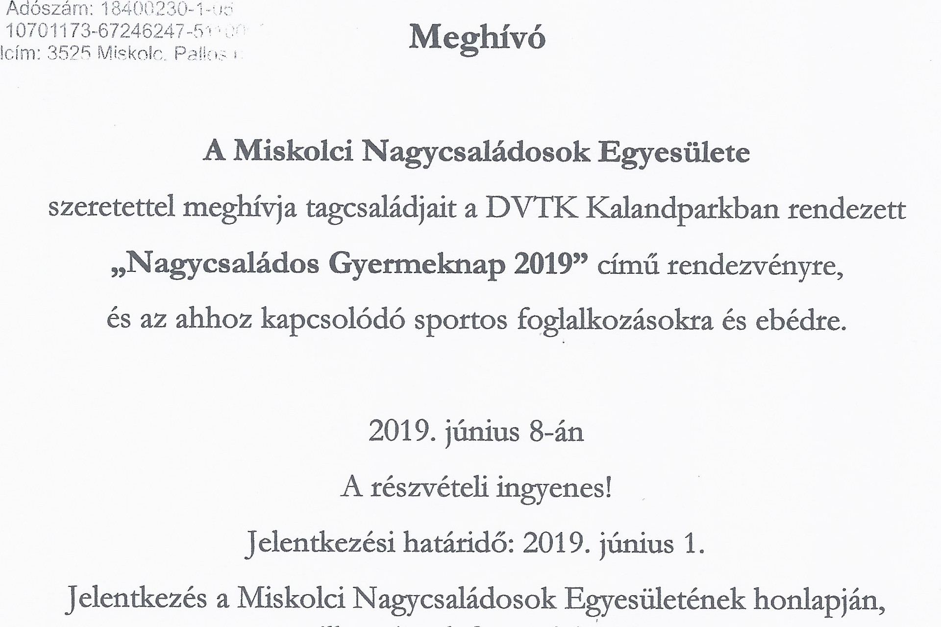 Nagycsaládos gyermeknap